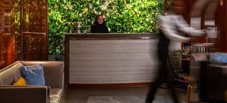 高鸟-公寓和套房酒店(HiBird- Apartment and Suites Hotel)图片