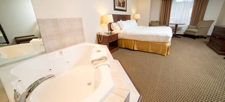 智选假日套房酒店德雷顿瓦利(Holiday Inn Express & Suites Drayton Valley)图片
