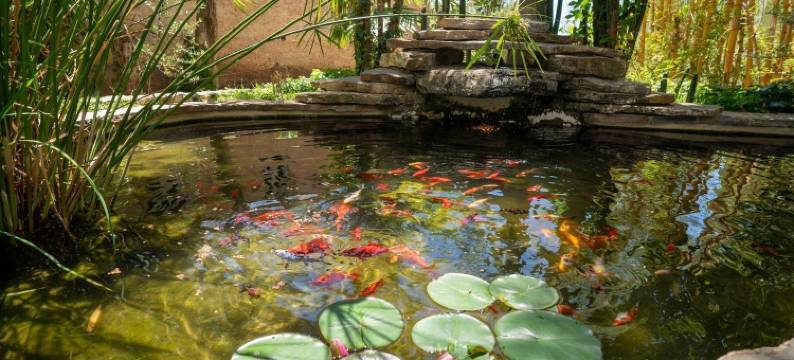 莫利诺花园酒店(Hotel Molino Garden)图片