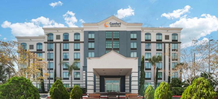 新奥尔良机场北舒适酒店及套房(Comfort Inn & Suites New Orleans Airport North)图片