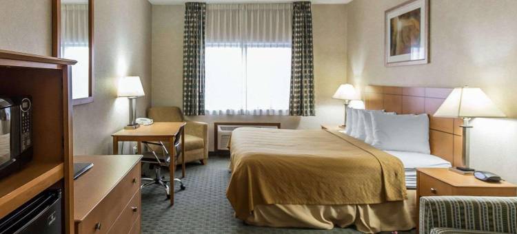 锡达拉皮兹柯林斯路凯艺酒店(Quality Inn at Collins Road - Cedar Rapids)图片