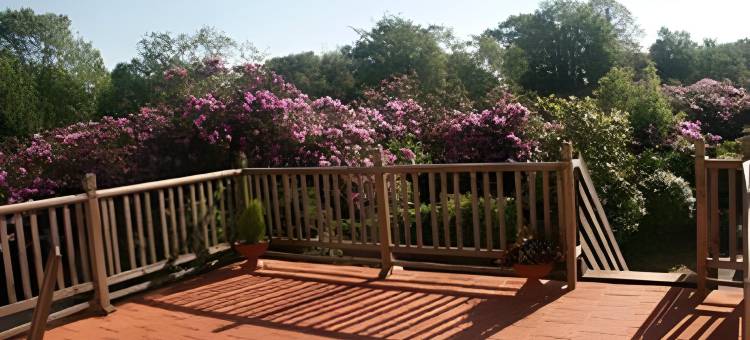 关德拉之家民宿(Gwyndra House B&B)图片