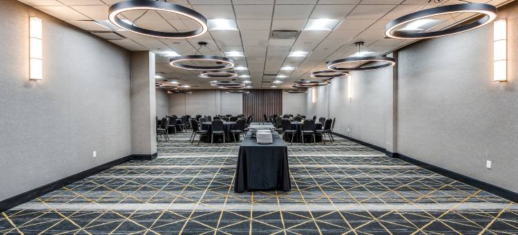 达拉斯市场中心爱田假日酒店(Holiday Inn DALLAS MARKET CTR LOVE FIELD)图片