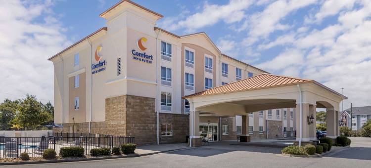 舒适酒店及套房提夫顿(Comfort Inn & Suites)图片