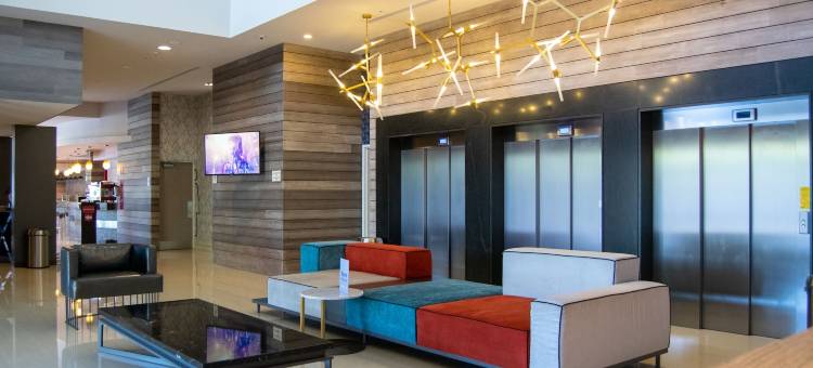 莱昂希尔顿花园酒店(Hilton Garden Inn Leon)图片