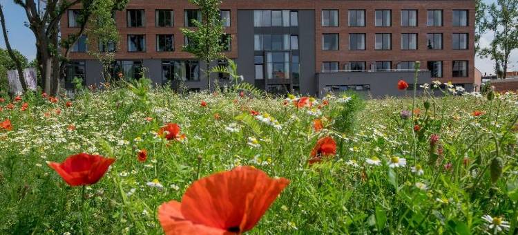 Hotel FREIgeist Einbeck图片