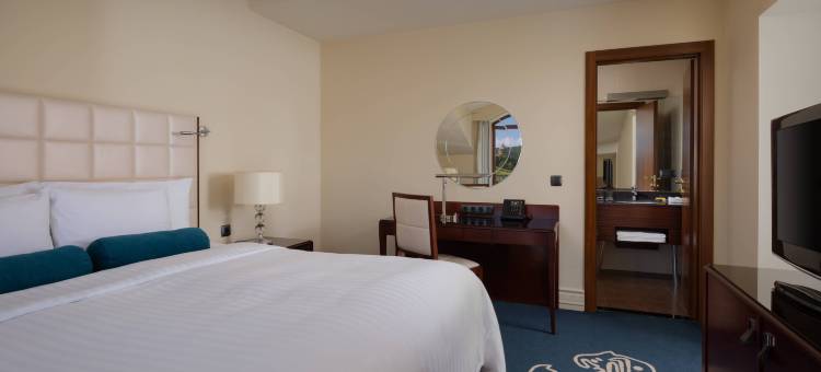 特萨卡德苏尔万豪酒店(Tsaghkadzor Marriott Hotel)图片