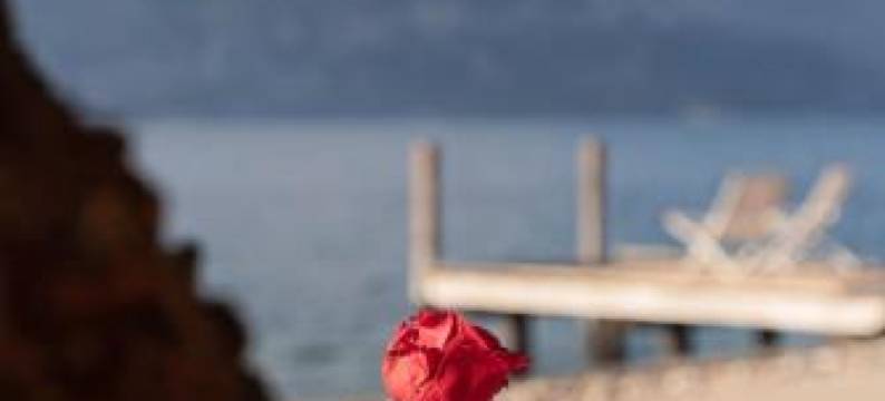 博洛尼亚卡勒塔酒店(La Caletta Hotel Bolognese)图片