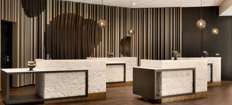 国际机场DFW北外界希尔顿安泊酒店(Embassy Suites by Hilton Grapevine DFW Airport North)图片