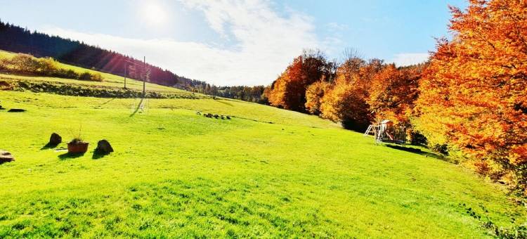renovated farmhouse for groups and families in nature, dogs welcome, playground图片