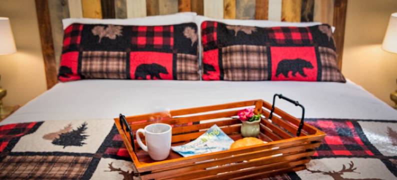 Private White River Estate on 214 acres. ATV/hiking trails. Pets stay free图片