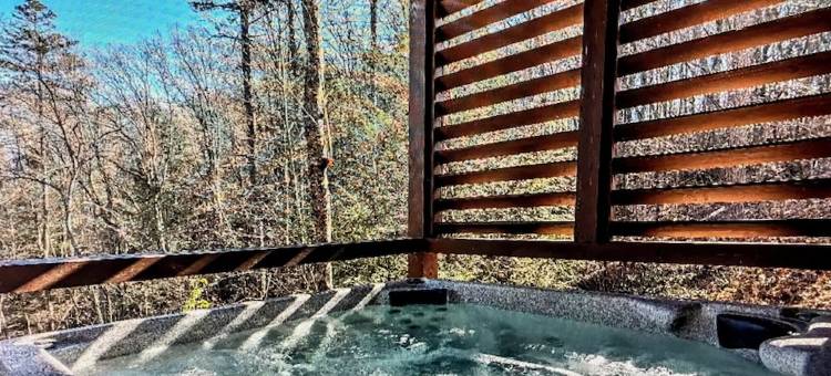 蓝岭山脉宁静小屋-带门禁, WiFi, 热水浴缸, 火坑, 游戏室(Peaceful Blue Ridge Mtn Cabin-Gated, WiFi, Hot Tub, Fire Pit, Game Room)图片