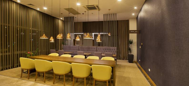 希尔顿花园旅馆-科贾埃利瑟克尔皮纳(Hilton Garden Inn Kocaeli Sekerpinar)图片