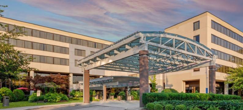 斯坦福阿尔蒙酒店&会议(The Armon Stamford Hotel & Conference)图片