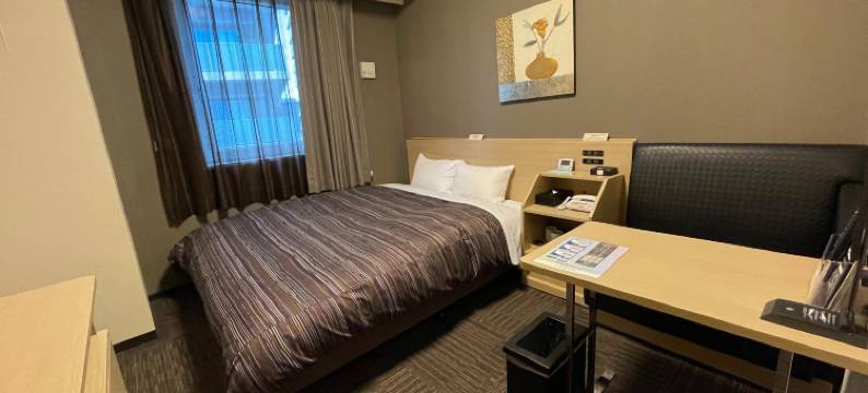 露樱酒店海老名站前店(Hotel Route-Inn Ebina Ekimae)图片