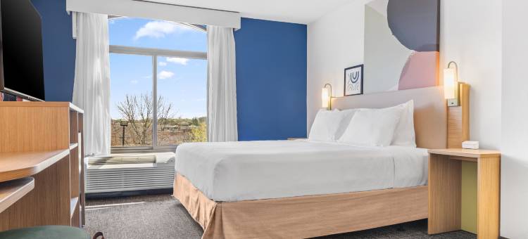 Spark by Hilton Charlotte Tyvola I-77图片