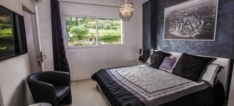 瓦卢贝尔城堡酒店(Château de Valloubière)图片