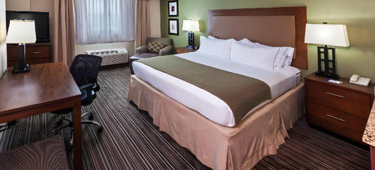 智选假日套房酒店沃斯堡市中心(Holiday Inn Express & Suites Fort Worth Downtown)图片