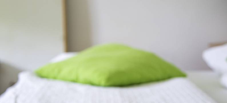 泽威兹迪卡酒店(Čebelja Zibka)图片