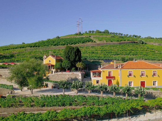 Casa do Salgueiral别墅