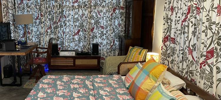 舞动的海牛(Dancing Dugong)图片