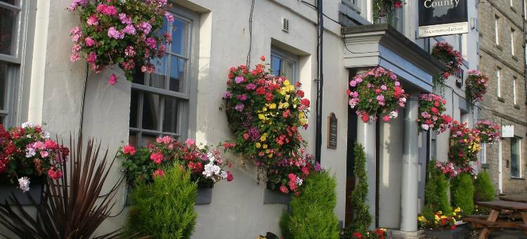 乡间酒店(The County Hotel)图片