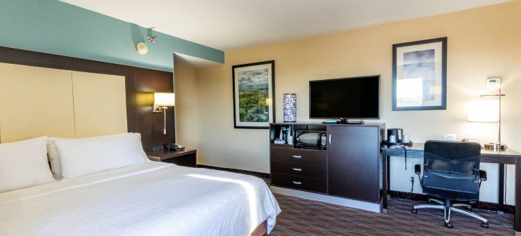 Holiday Inn Express 博伊西(Holiday Inn Express Boise-University Area)图片