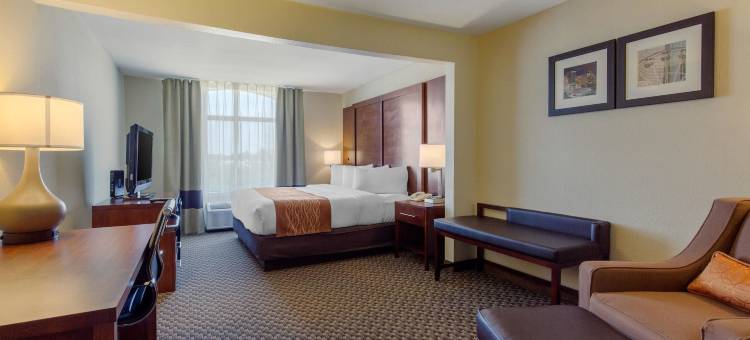 西南休斯顿舒格兰舒适套房酒店(Comfort Inn & Suites SW Houston Sugarland)图片