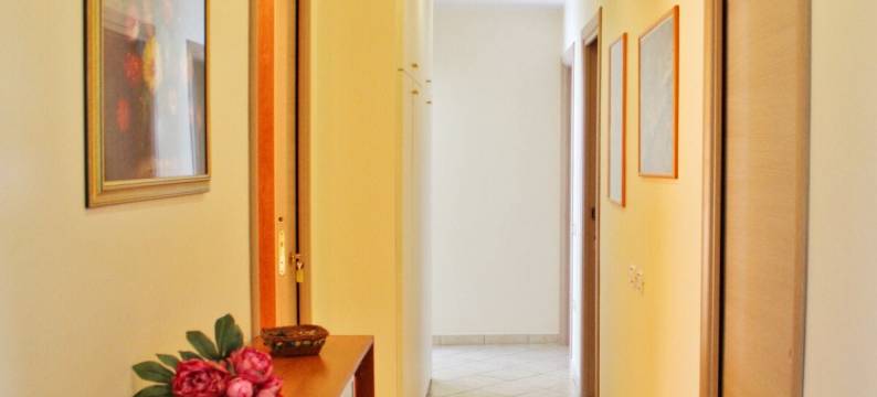 伊尔·佩鲁吉诺(Il Perugino)图片