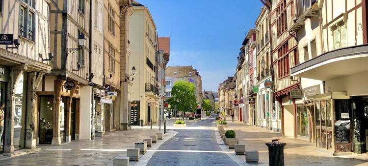 珍瑰佐拉(Le Charmant Zola Hyper Centre classé)图片