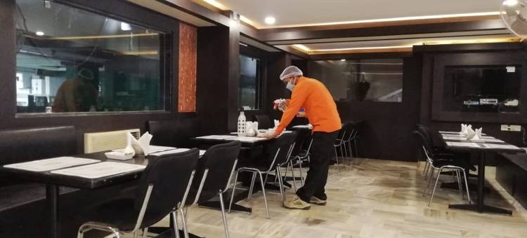 索纳利酒店(Hotel Sonali Regency)图片