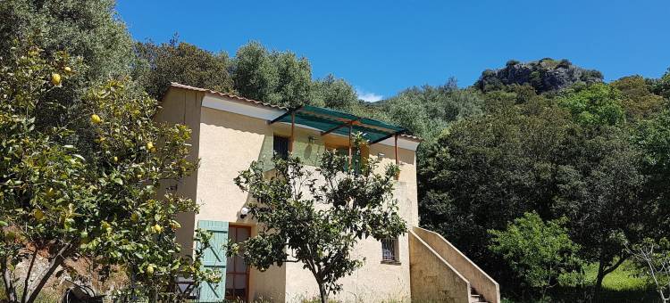 艾利沃家庭旅馆(A Casa di l'Alivu)图片