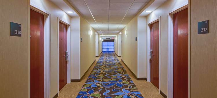 坦帕奥尔兹马智选假日酒店及套房(Holiday Inn Express & Suites Tampa Northwest-Oldsmar)图片