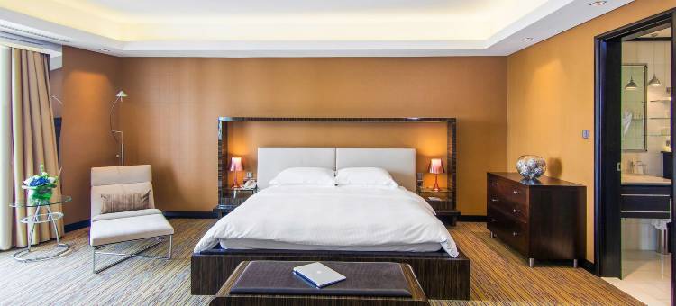 迪拜媒体城丽笙酒店(Radisson Blu Hotel, Dubai Media City)图片