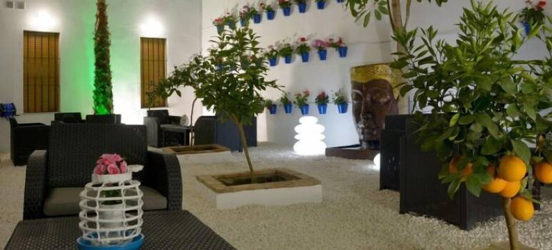 卡萨帕蒂奥拉斯帕尔梅拉斯(casapatiolaspalmeras)图片