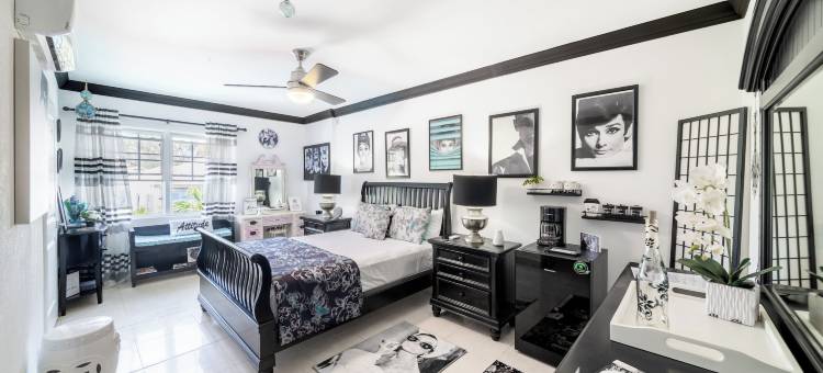 巴巴多斯隐藏宝石(Hidden Gem Barbados)图片