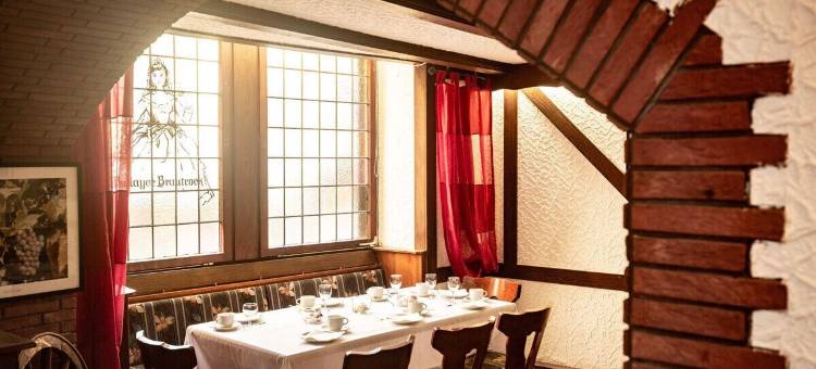摩塞拉酒店(Hotel Mosella)图片