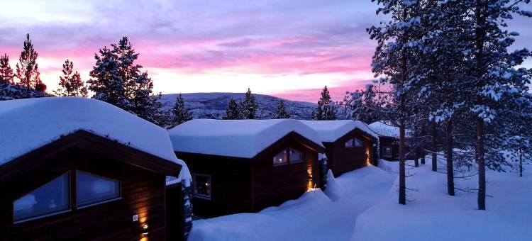 邦裘非尔高山旅馆(Bjørnfjell Mountain Lodge)图片