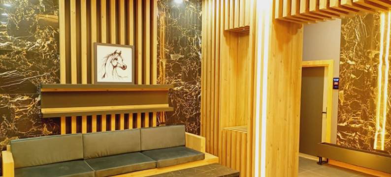 动力酒店(Dinamik Otel Sarıkamış)图片