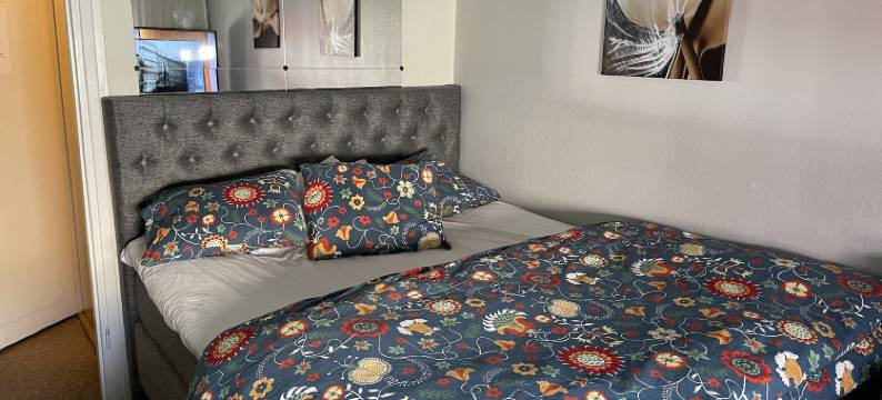 莎迦A B酒店(Saga Hotell)图片