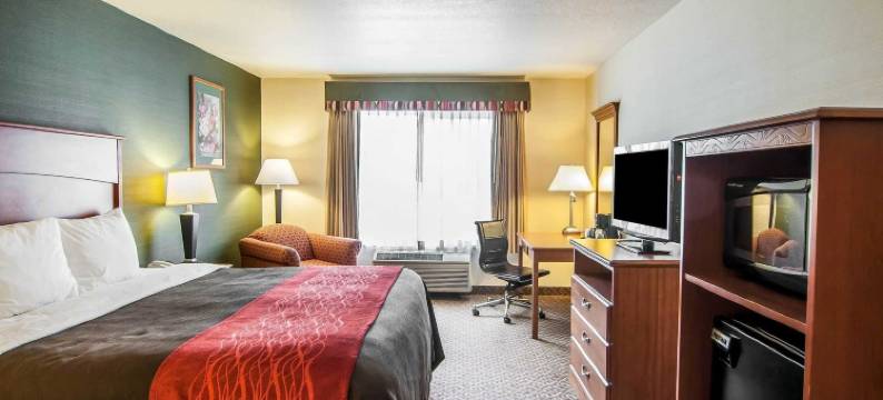 舒适套房酒店(Comfort Inn & Suites Salem)图片