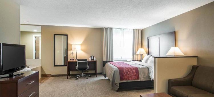 索格蒂斯舒适酒店(Comfort Inn)图片