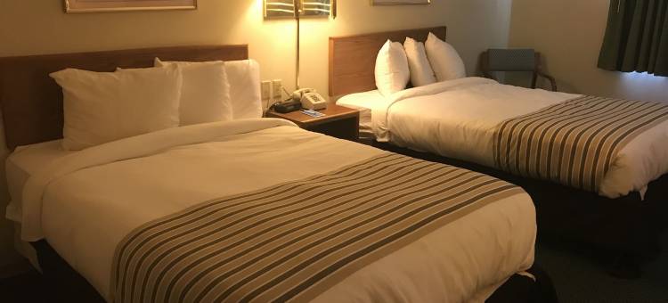 罗德威酒店(Smart Choice Inn)图片