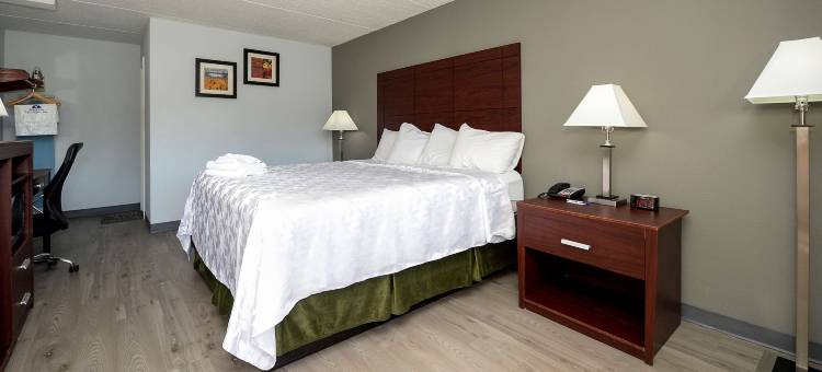 伍德伯里中央谷美洲贝斯特价值酒店(Americas Best Value Inn Central Valley)图片