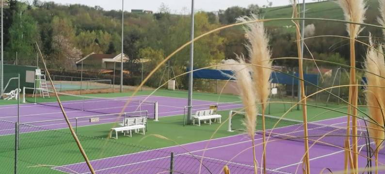 金无数民宿(Chambre d'hôtes les Myriades d'Or)图片