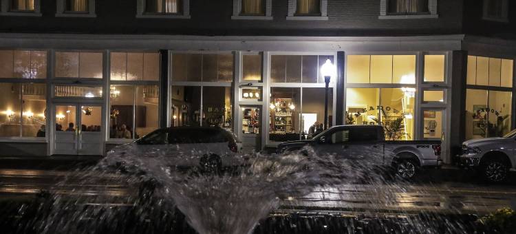 梅多斯酒店(Meadows Hotel)图片