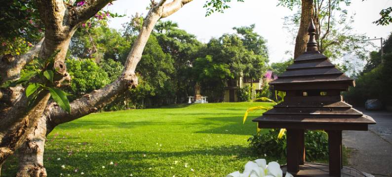 自然公园度假村(Natural Park Resort Pattaya)图片