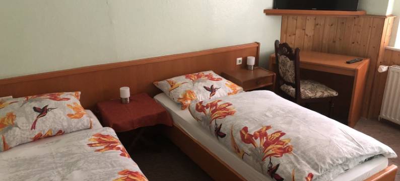 迪尼特旅馆(Landgasthof Deinert)图片