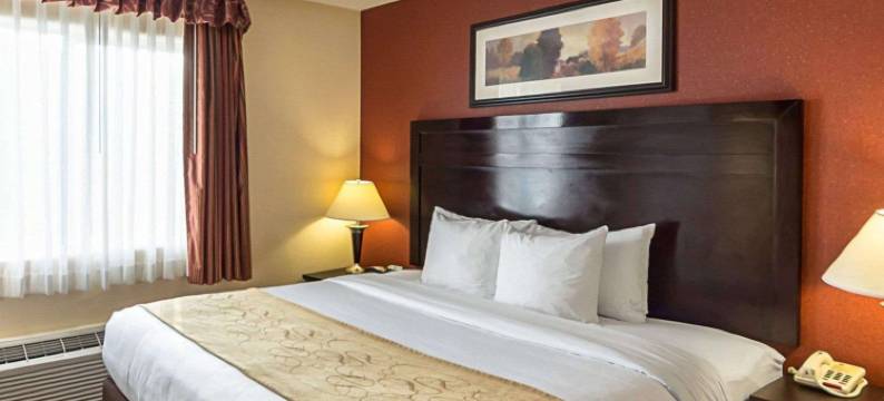 机场舒适套房酒店(Comfort Suites Airport)图片