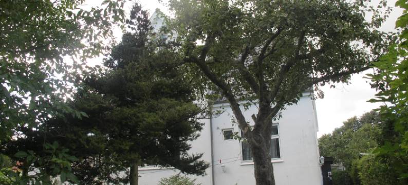 夏隆阿尔胡斯旅馆(Guesthouse Sharon Aarhus)图片